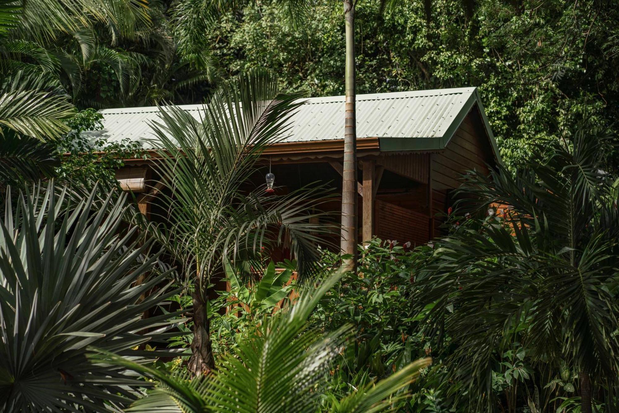 Au Jardin Des Colibris Ecolodge&Spa Деше Экстерьер фото